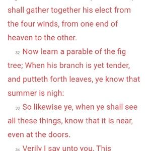 Meet your Posher, Tracey