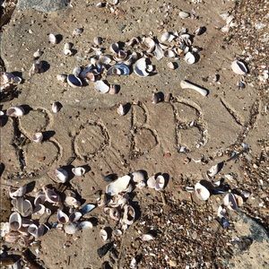 Meet your Posher, Bobby