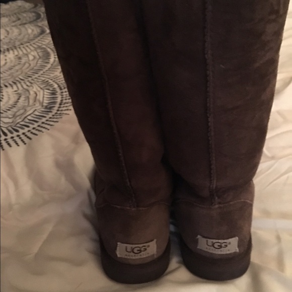 tall chocolate brown uggs tall chocolate brown uggs