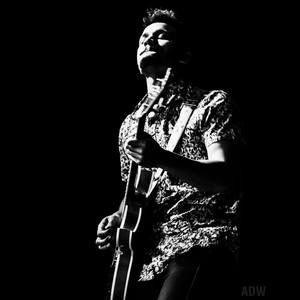 Meet your Posher, Eli