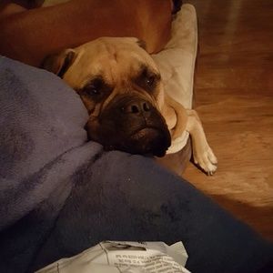 Meet your Posher, Charlene