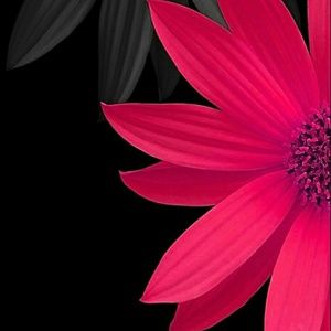 Meet your Posher, Stacy