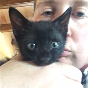 Meet your Posher, Carrie