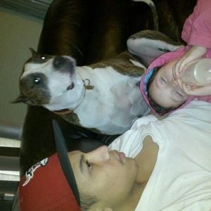 Meet your Posher, Olimar