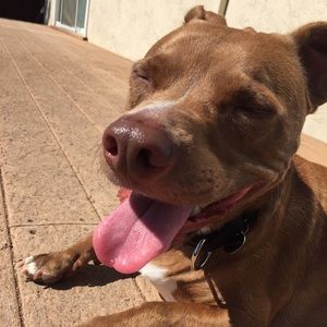 Meet your Posher, Kelsey