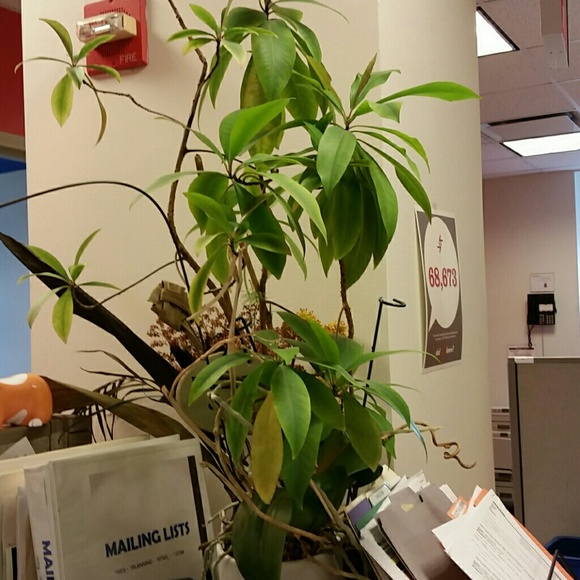 Meet your Posher, Lorna