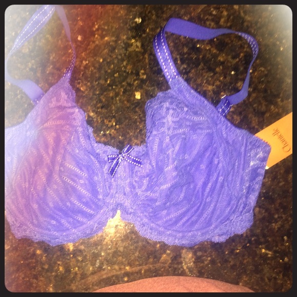 New Chantelle Rive Gauche Full Coverage unlinedbra