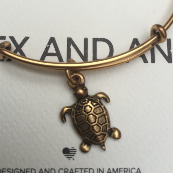 Rare! Alex + Ani Turtle 🐢 - Picture 2 of 3