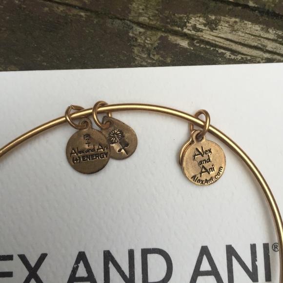 Rare! Alex + Ani Turtle 🐢 - Picture 3 of 3