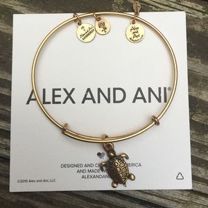 Rare! Alex + Ani Turtle 🐢