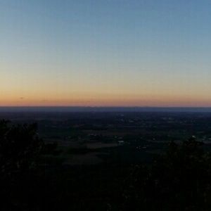 Meet your Posher, Allie