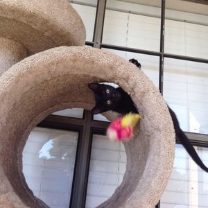 Meet your Posher, Shana