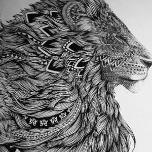 Meet your Posher, Kane