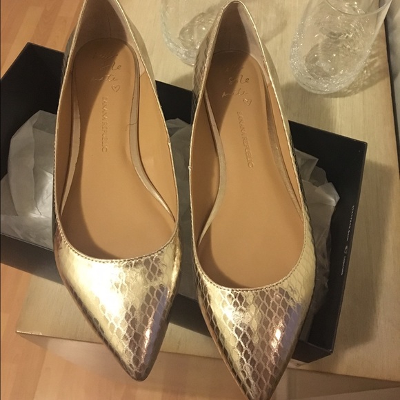 Banana Republic Shoes - Gold metallic flats 🌟NEVER WORN🌟 9.5