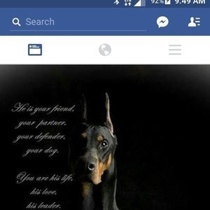 Meet your Posher, Judy