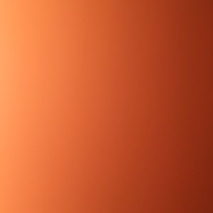 Meet your Posher, Liyah