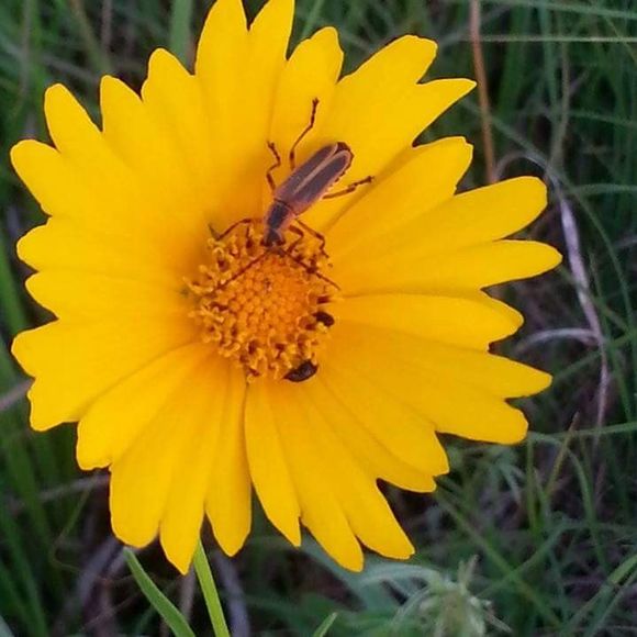 Meet your Posher, Myrna