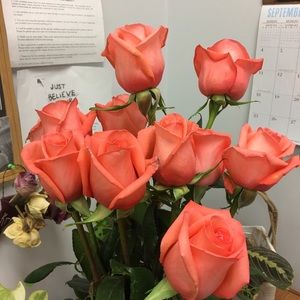 Meet your Posher, Krissy