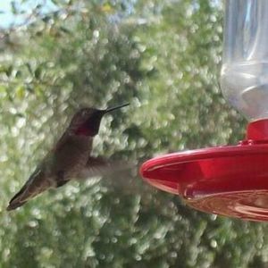 Meet your Posher, Teri