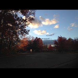 Meet your Posher, Noelle