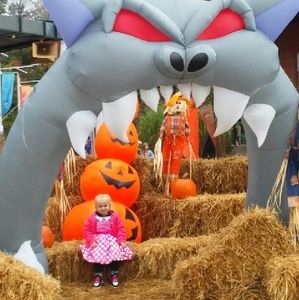 Meet your Posher, Katora