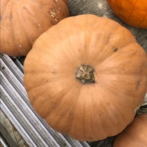 Meet your Posher, Kaylee