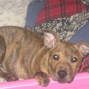 Meet your Posher, Tiffenie