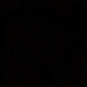 Meet your Posher, Dave