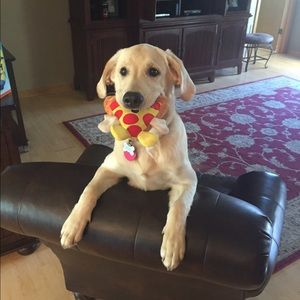 Meet your Posher, Thomas