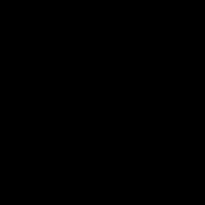 Meet your Posher, Lula