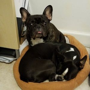 Meet your Posher, Colin