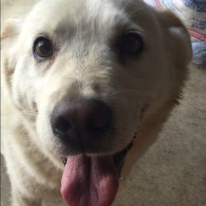 Meet your Posher, Kati