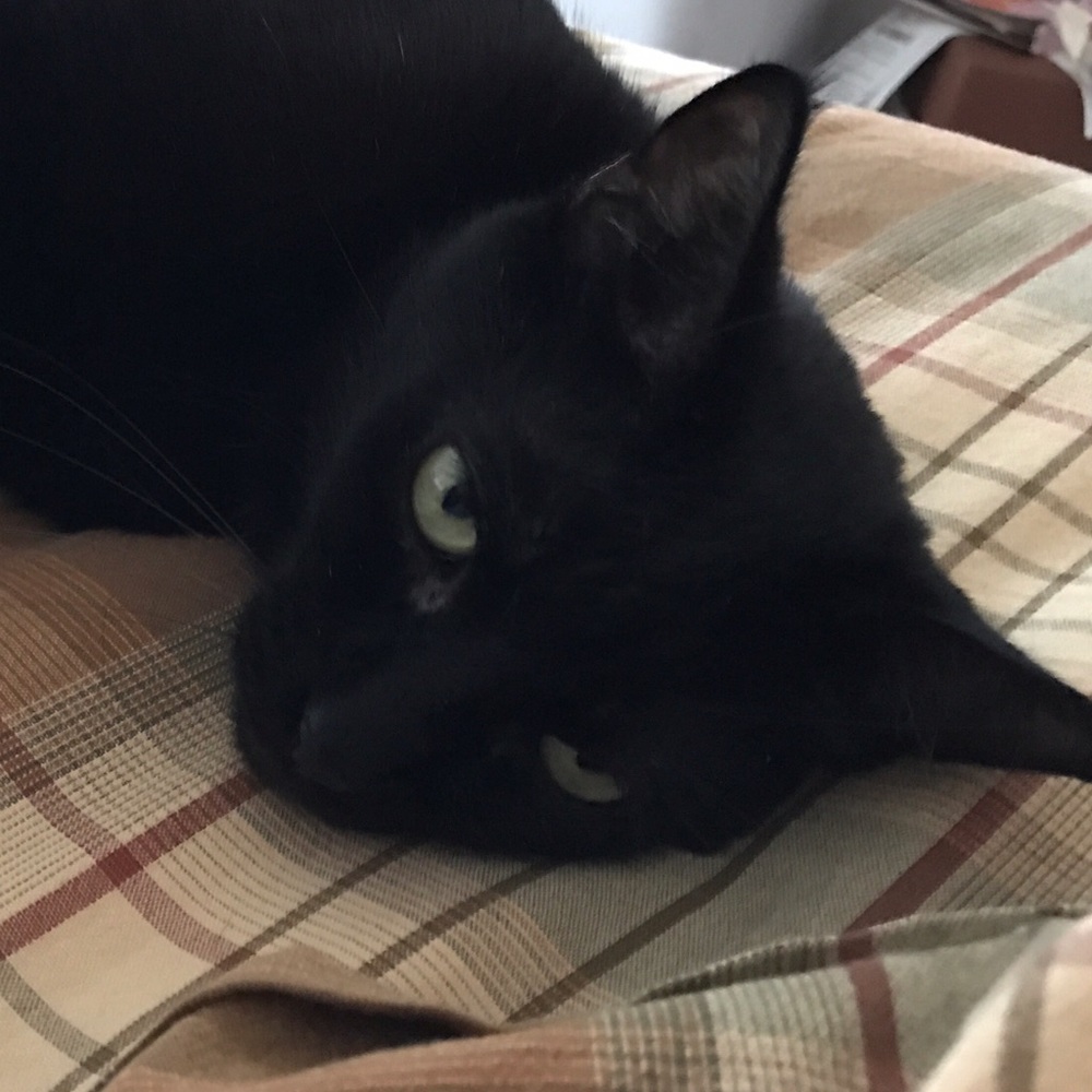 Meet your Posher, Tina