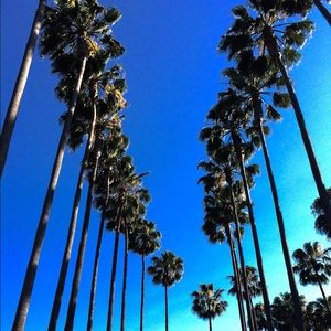 Meet your Posher, Nina