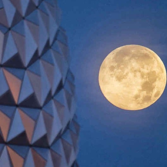 Meet your Posher, Anne marie - Picture 1 of 1