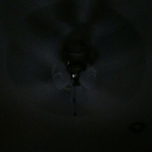 Meet your Posher, Ginger