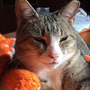 Meet your Posher, Kristin