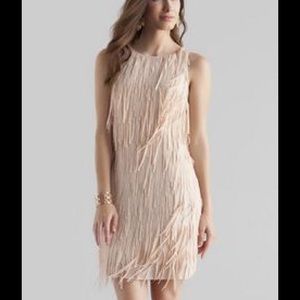 Francesca's collection fringe dress