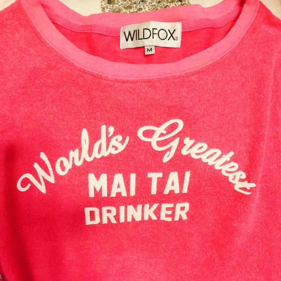 SUNDAY SALE! Wildfox Sweatshirt 👑 - Picture 2 of 4