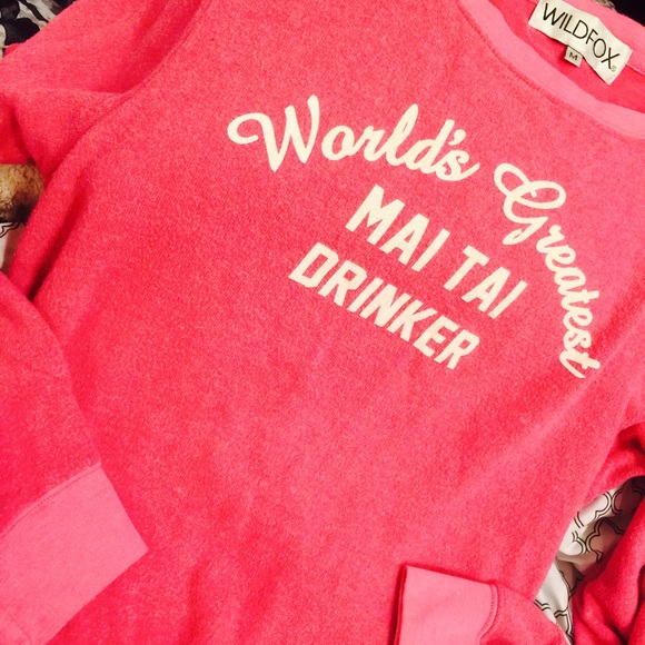 SUNDAY SALE! Wildfox Sweatshirt 👑 - Picture 3 of 4