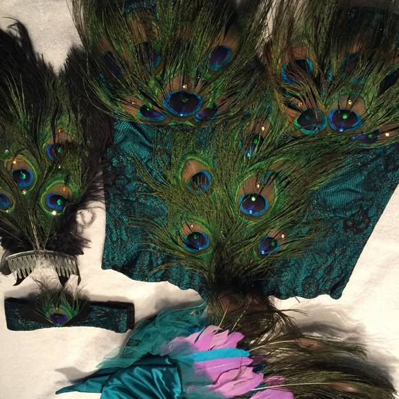 Medium Peacock costume w fishnets & extra feathers