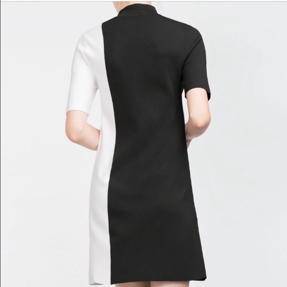 KNIT Brand new ZARA turtle neck dress - Picture 4 of 4