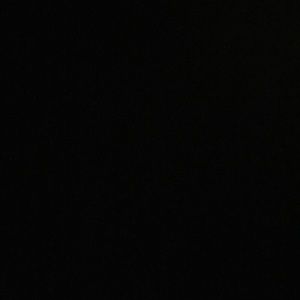 Meet your Posher, Kendall