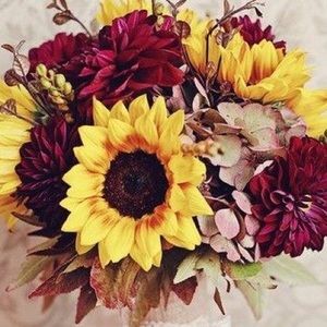 Meet your Posher, Abigail