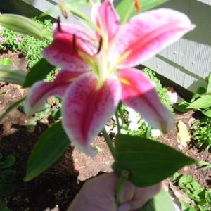 Meet your Posher, Valerie