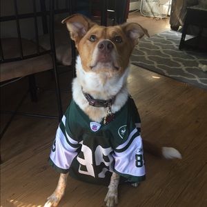 Meet your Posher, Lindsay