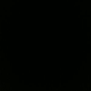 Meet your Posher, Nealee