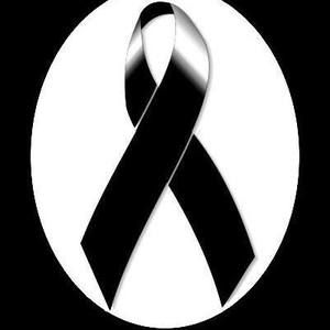 Meet your Posher, Benny