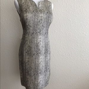 Robbie Bee snake print dress