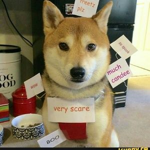 Meet your Posher, Maximus